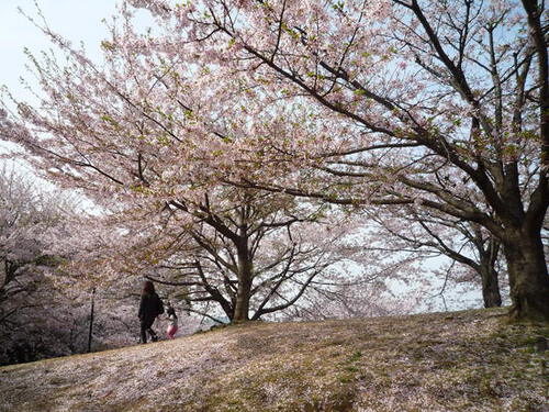 住所が小説のタイトル「愛媛県新居浜市上原一丁目三番地」 住所が小説のタイトル「愛媛県新居浜市上原一丁目三番地」