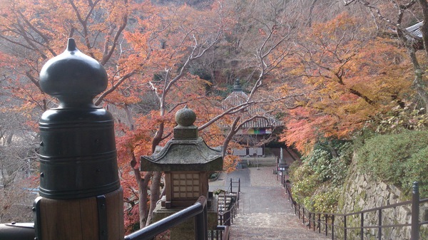 奈良の長谷寺 奈良の長谷寺