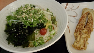 たも屋女道場でさぬきうどん たも屋女道場でさぬきうどん