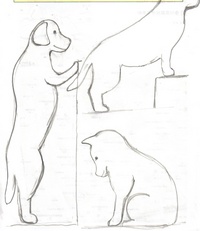 犬の形