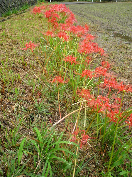 素敵をみつけて・・・