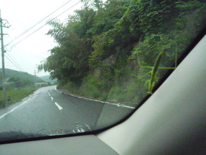 雨やどり・・・早くお帰り
