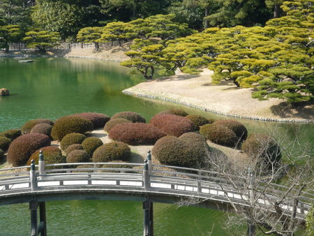 こんなハート発見