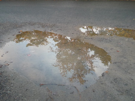 雨あがりの秋の日を歩く。