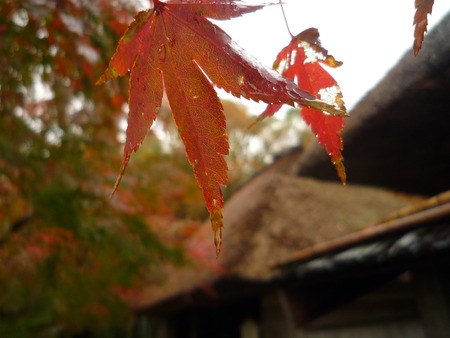 雨の日に・・・in 四国村