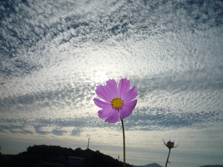 空の一日