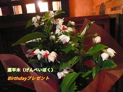 大好きな人たち