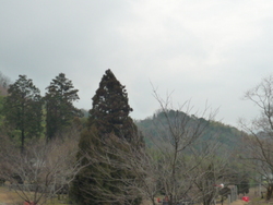 香川県のびっくりも・・・今では。