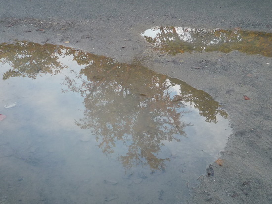 雨あがりの秋の日を歩く。