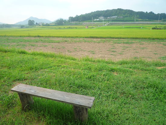 平和な昼さがり