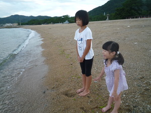 暑い夏が続きます・・・・。