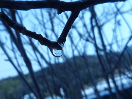 雪の涙