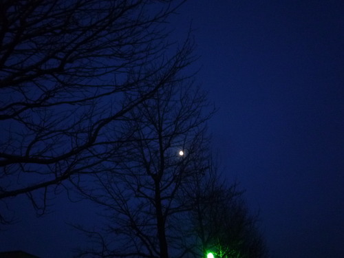 凍てつく空