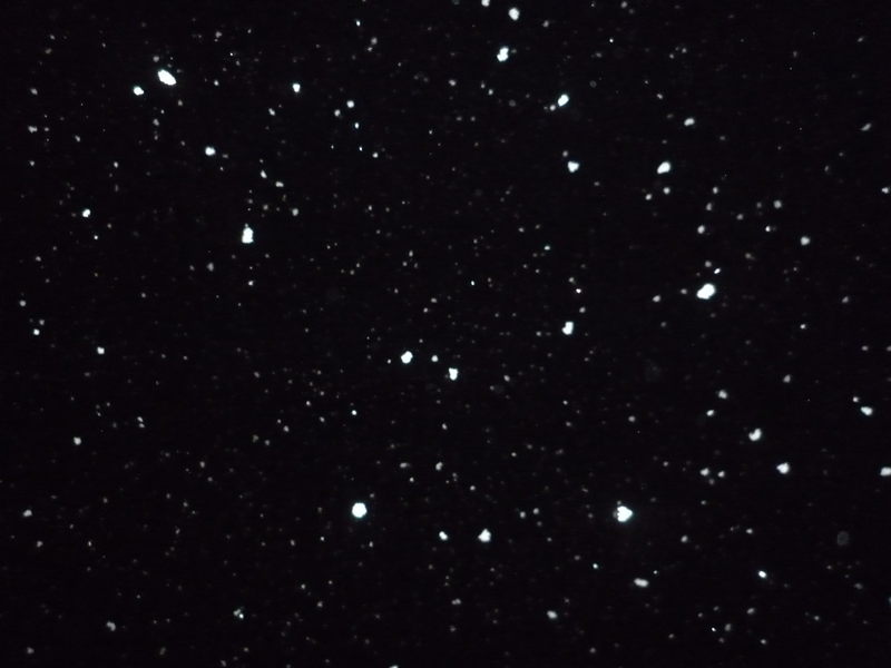 あっ!雪