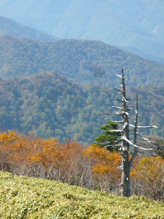 もっと剣山