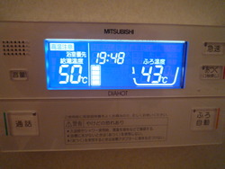 人間・・・っておかしい?