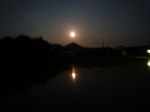 今夜は、不気味に美しい満月