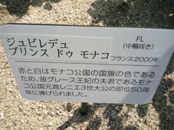 プリンセスたちの薔薇