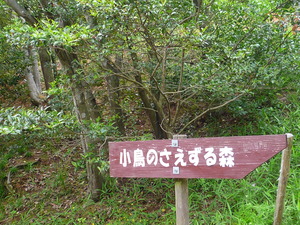 みろく自然公園は、マイナスイオンがいっぱい