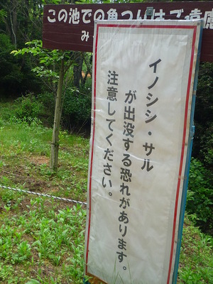 みろく自然公園は、マイナスイオンがいっぱい