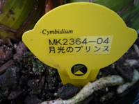 「あしたさぬき」に登録済みだって!