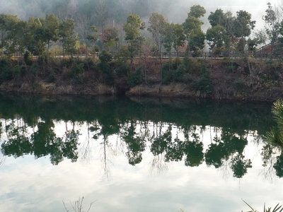 朝の風景・・・門入湖
