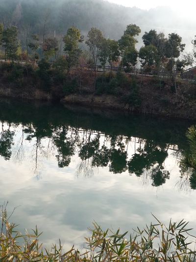 朝の風景・・・門入湖