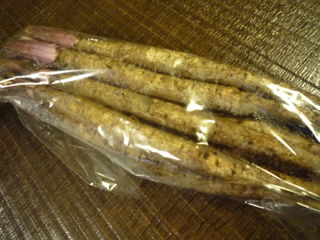 孫は天才?