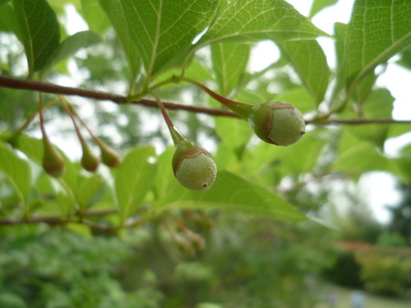 梅雨のひと休み