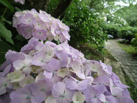 やさしい時間