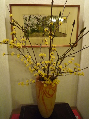 我が家に咲いた桜