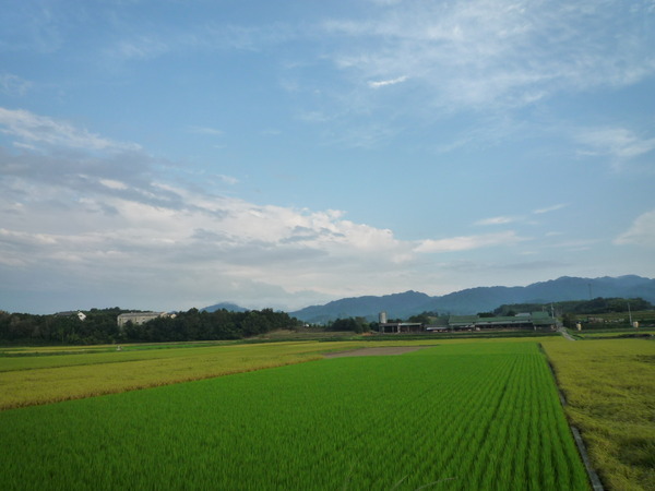 美しいところに住むワタシ