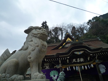 初詣で心をリセット