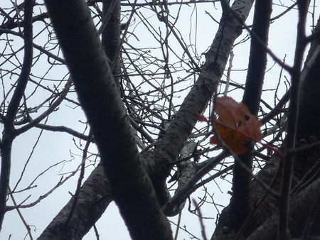 だあれもいない公園