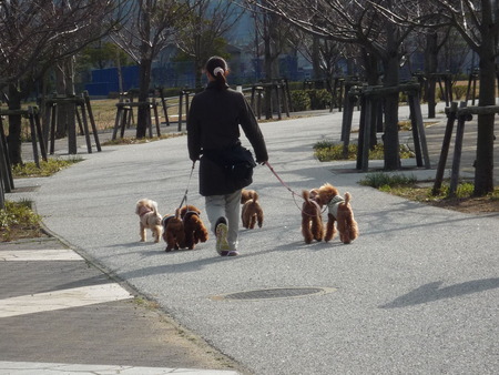 鳴門ウチノ総合公園