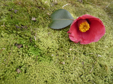 晩生の高校生