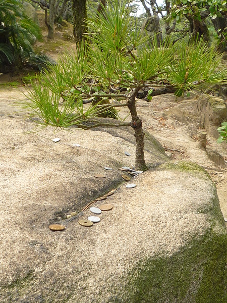 玉藻公園のフレンドリーなお兄さん