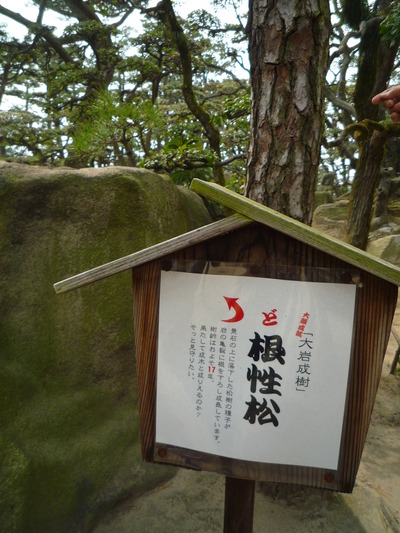 玉藻公園のフレンドリーなお兄さん
