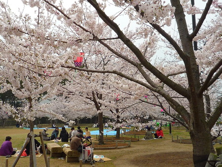 玉藻公園のフレンドリーなお兄さん