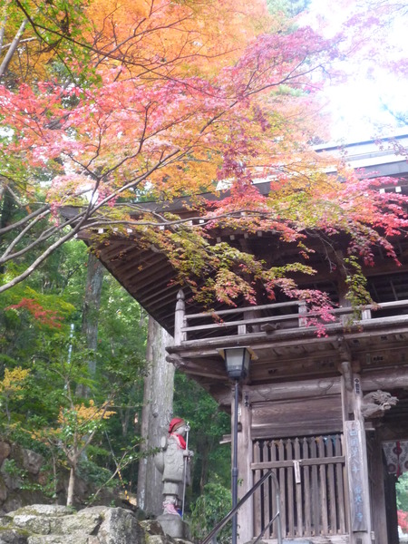 秋深し、ここは結願寺『大窪寺』