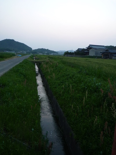 たそがれウォーキング