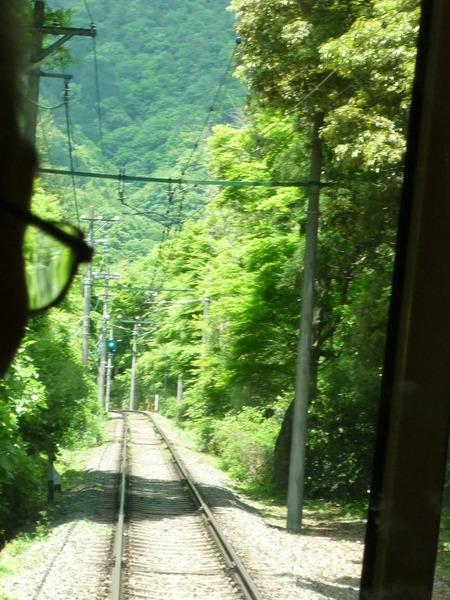 彼女たちに会いたくて・・・箱根