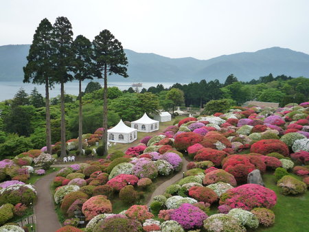 素晴らしきかな「山のホテル」