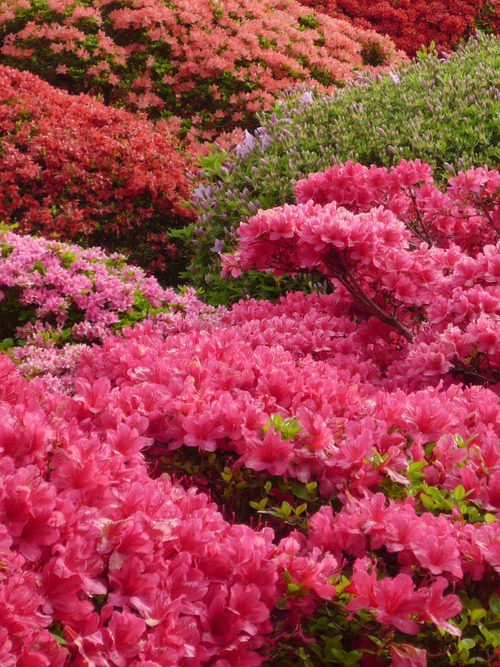素晴らしきかな「山のホテル」