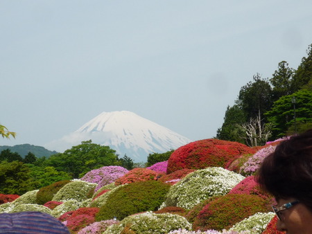 素晴らしきかな「山のホテル」