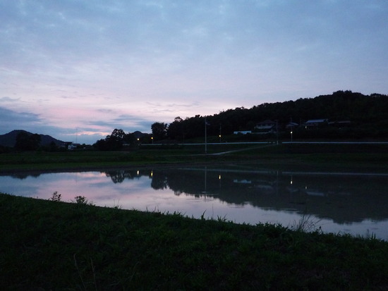 夕陽を追っかけたけど