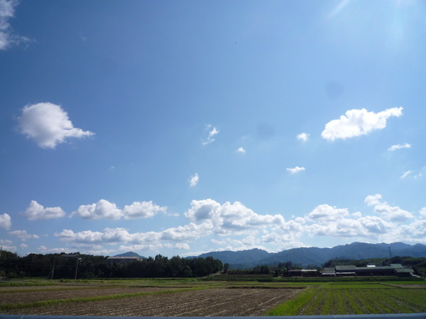Yesterdays blue sky