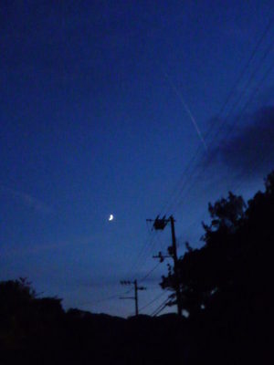 夕日を求めて~