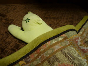 やっぱり、コタツが好き