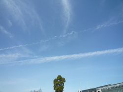 青い空と飛行機雲が憎らしく見えた